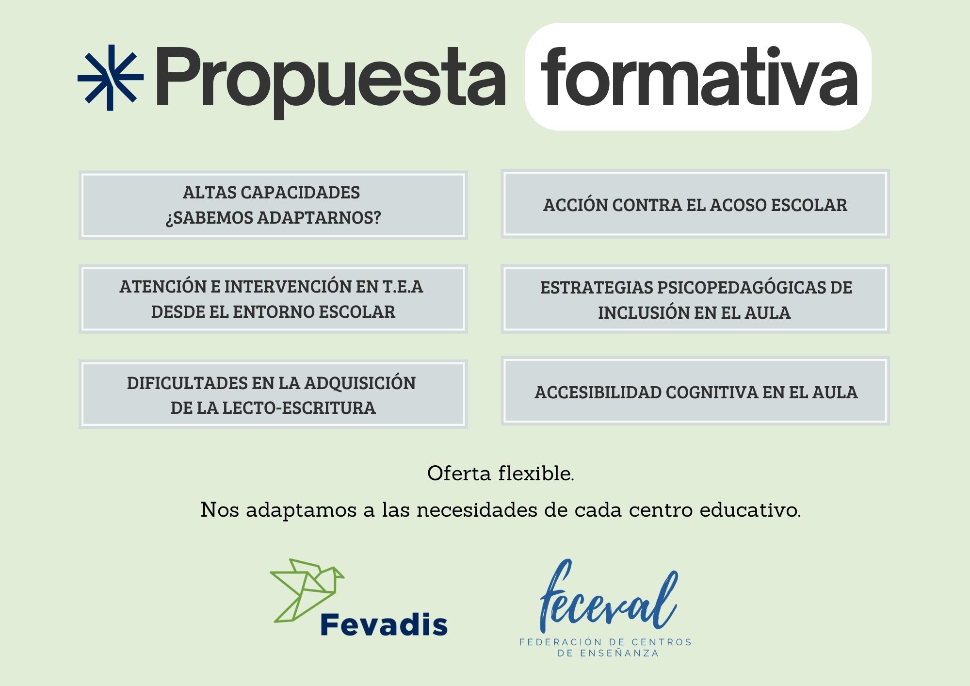 Formacion FEVADIS